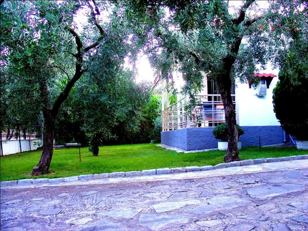 Dimos Bungalows PalaiónTsiflíkion Pokój zdjęcie