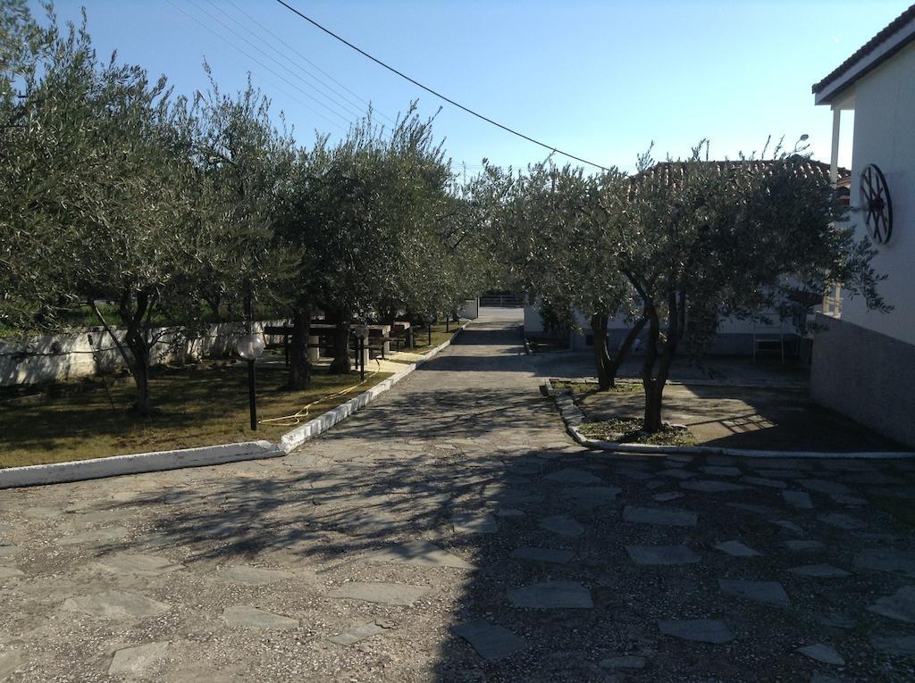 Dimos Bungalows PalaiónTsiflíkion Zewnętrze zdjęcie
