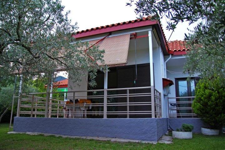 Dimos Bungalows PalaiónTsiflíkion Zewnętrze zdjęcie
